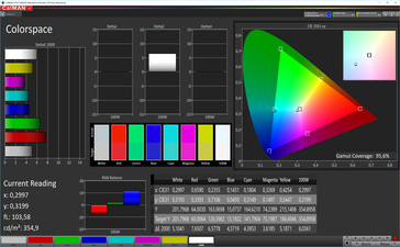 Espacio de color CalMan (espacio de color de destino AdobeRGB), perfil: personalizable