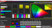 Espacio de color CalMAN - super vibrante sRGB