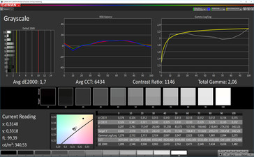 Escala de grises de color CalMan (espacio de color de destino sRGB), perfil: simple