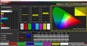 Espacio de color CalMAN - sRGB profesional