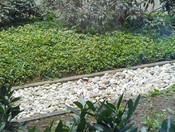 Cosa que también ocurre en fotos con menos zoom (x2,5) Cosa que también ocurre en fotos con menos zoom (x2,5)