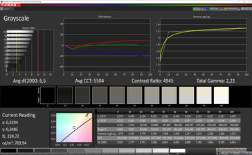CalMAN: Escala de grises (True Tone activado, espacio de color objetivo sRGB)