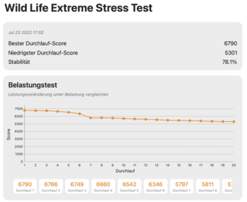 Prueba de estrés extremo en la vida salvaje (MBA M2 10C-GPU)