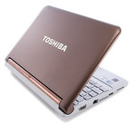 Toshiba NB305-N310
