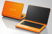 Sony Vaio VPC-CA1S1E/D