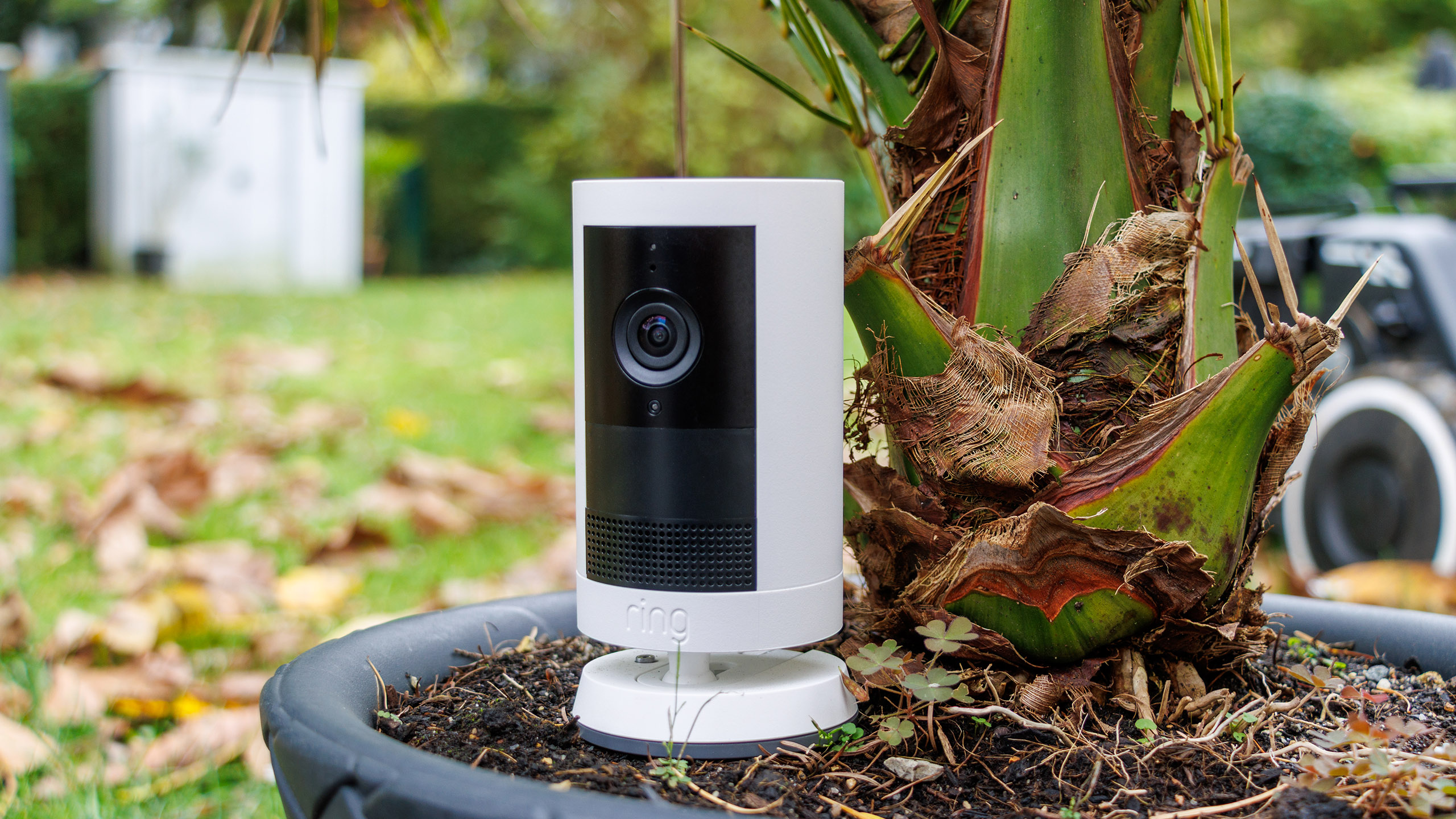 (Fuente de la imagen: Daniel Schmidt)