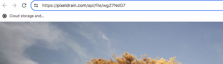 La forma más sencilla de empezar a utilizar PixelDrain es subir archivos a Mis Archivos. Obtendrá como resultado un enlace como el de la imagen superior. Aunque no es un hotlinking propiamente dicho, sigue siendo mejor que lo que ofrecen la mayoría de las plataformas de la competencia (Fuente de la imagen: Notebookcheck)