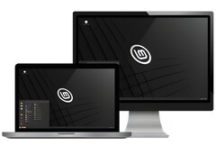 Linux Mint es una excelente forma de iniciarse en el mundo Linux. (Fuente de la imagen: Linux Mint)