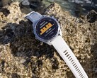 Ha llegado el software de sistema 22.07 para los ordenadores de buceo Descent Mk3 y Mk3i (en la imagen). (Fuente de la imagen: Garmin)