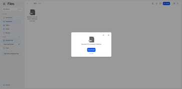 Tamaño de los archivos ahora visible - pero sólo para archivos individuales