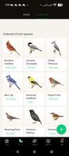 Desglose de visitas de aves