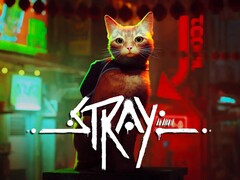 Stray, un título totalmente nuevo, se incluirá en la actualización de julio para PlayStation Plus. (Fuente de la imagen: PlayStation)