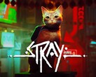 Stray, un título totalmente nuevo, se incluirá en la actualización de julio para PlayStation Plus. (Fuente de la imagen: PlayStation)