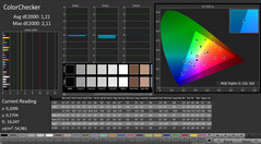 CalMAN – ColorChecker (X-Rite Pantone)