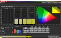 CalMAN Saturación calibrada