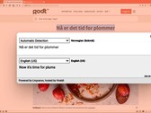 Traducción privada en el navegador Vivaldi 4.2 en acción (Fuente: Vivaldi Browser)