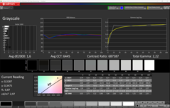 CalMAN Escala de grises