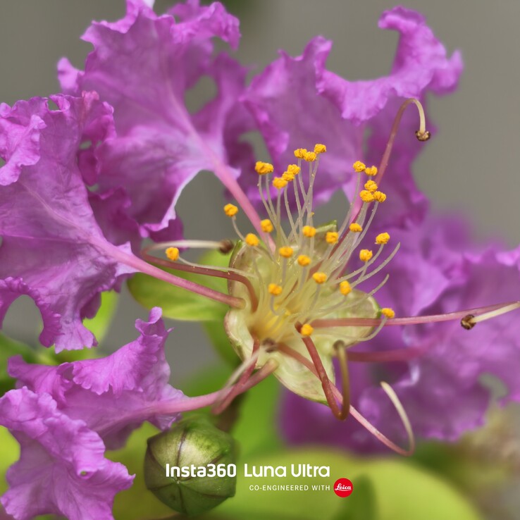 Tomé esta fotografía con un zoom digital de 12x