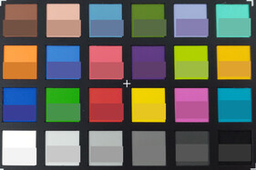 Foto de los colores de ColorChecker. El color de referencia se encuentra en la mitad inferior de cada campo.
