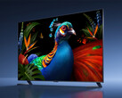 La serie de televisores «non-Supreme TV S Pro 2027 RGB Mini LED» alcanzará un tamaño máximo de 98 pulgadas. En la imagen: una fotografía promocional en la que se muestra un televisor de la gama.