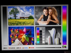 Amplios ángulos de visión IPS