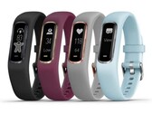 El Vivosmart 4. (Fuente de la imagen: Garmin)