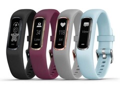El Vivosmart 4. (Fuente de la imagen: Garmin)