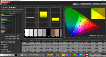 CalMAN ColorChecker (sRGB )