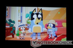 Los espectáculos coloridos, como los dibujos animados, parecen brillantes y con garra. (Show: Bluey)