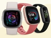 Google ha empezado a racionalizar la aplicación de Fitbit con vistas a añadir más funciones más adelante. (Fuente de la imagen: Fitbit)