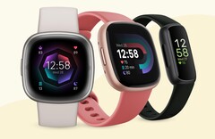 Google ha empezado a racionalizar la aplicación de Fitbit con vistas a añadir más funciones más adelante. (Fuente de la imagen: Fitbit)