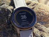Garmin sigue desarrollando versiones 26.xx para la serie Fenix 6 y sus homólogas. (Fuente de la imagen: Garmin)