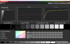CalMAN Escala de grises