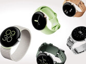 El Pixel Watch ha ganado otra función antes exclusiva de Fitbit. (Fuente de la imagen: Google)
