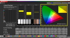 CalMAN ColorChecker (perfil: sRGB, espacio de color de destino: sRGB)