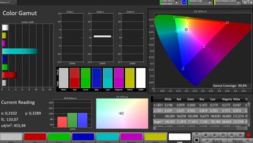 Espacio de color CalMAN sRGB - pantalla principal, natural