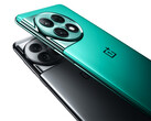 OnePlus vende el Ace 2 Pro en dos colores. (Fuente de la imagen: OnePlus)