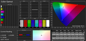 Espacio de color CalMAN - Ajustes optimizados