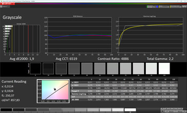 Escalas de grises (Tono verdadero: desactivado, espacio de color de destino: sRGB)