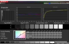 CalMAN escala de grises calibrada