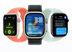 Aunque el watch0S 26 no mejora la duración de la batería, al menos avisa a los usuarios cuando el consumo de energía es demasiado elevado. (Fuente de la imagen: Apple)