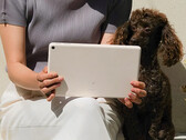 Se rumorea que Google ha creado cuatro opciones de color para la Pixel Tablet. (Fuente de la imagen: Google)
