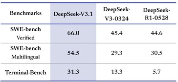 Los programadores apreciarán DeepSeek-V3.1 por su mayor capacidad de codificación. (Fuente de la imagen: DeepSeek)