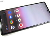Algunos usuarios del Google Pixel 6a tienen problemas masivos tras la última actualización de software (Fuente de la imagen: Notebookcheck)