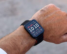 El Venu X1 cuesta casi tanto como los recientes smartwatches Garmin Fenix y Forerunner. (Fuente de la imagen: Garmin)
