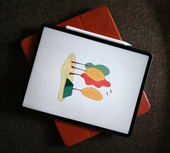 Parece que Apple está sentando las bases para su próximo lanzamiento del iPad con iPadOS 17.5. (Fuente de la imagen: Tony Sebastian)