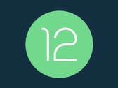 Android 12 ya es popular. (Fuente: Android)