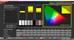 CalMAN ColorChecker calibrado