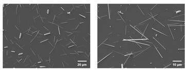 Imágenes de microscopio electrónico de barrido de los nanocables de telurio en el implante de retina. (Fuente de la imagen: Science. DOI: 10.1126/science.adu2987)