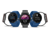 La versión 14.08 de la beta pública de Garmin ha causado problemas que provocan un reinicio en algunos smartwatches. (Fuente de la imagen: Garmin)